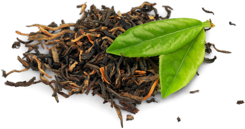 Dried Tea Leaves